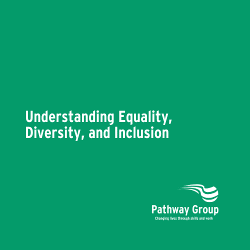 Understanding Equality, Diversity, and Inclusion