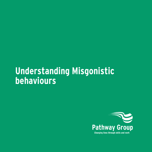 Understanding Misgonistic behaviours