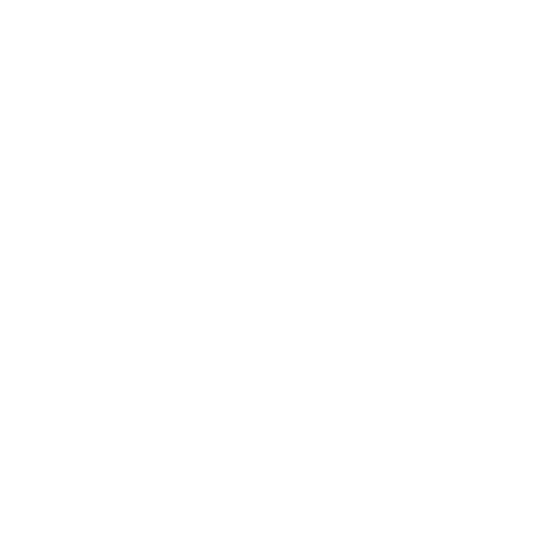 Cognassist-Logo white