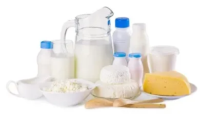 Various Dairy Products Isolated